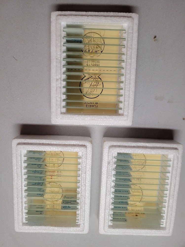 VINTAGE 36 SEARS MICROSCOPE GLASS PREPARED SLIDES