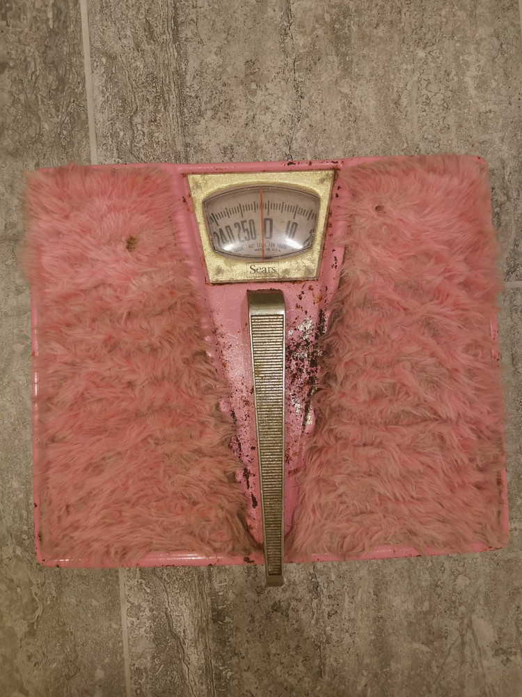 Vintage 1970s/80s Sears Bathroom Scale