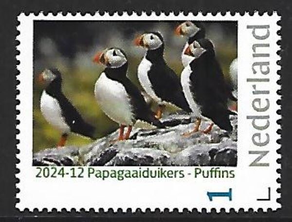 Netherlands 2024-12  Puffins   mnh us