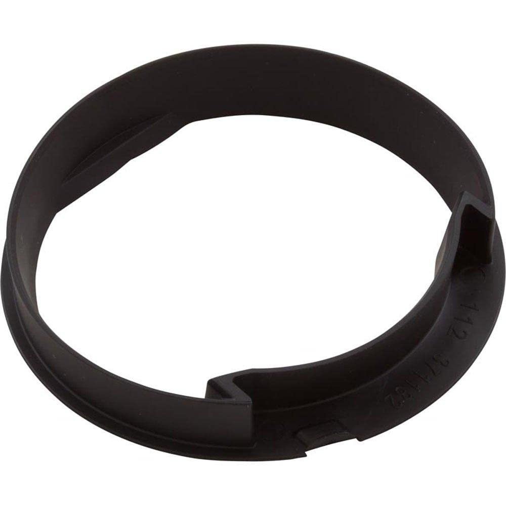 Pentair 360243, Black