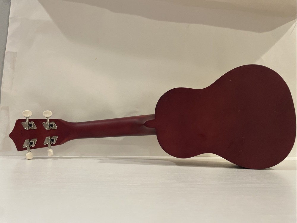 Everjoys Ukulele With Colorful Strings