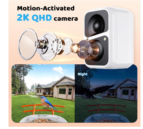 Smart Bird Feeder With Camera - AI Bird Identification - Solar Powered