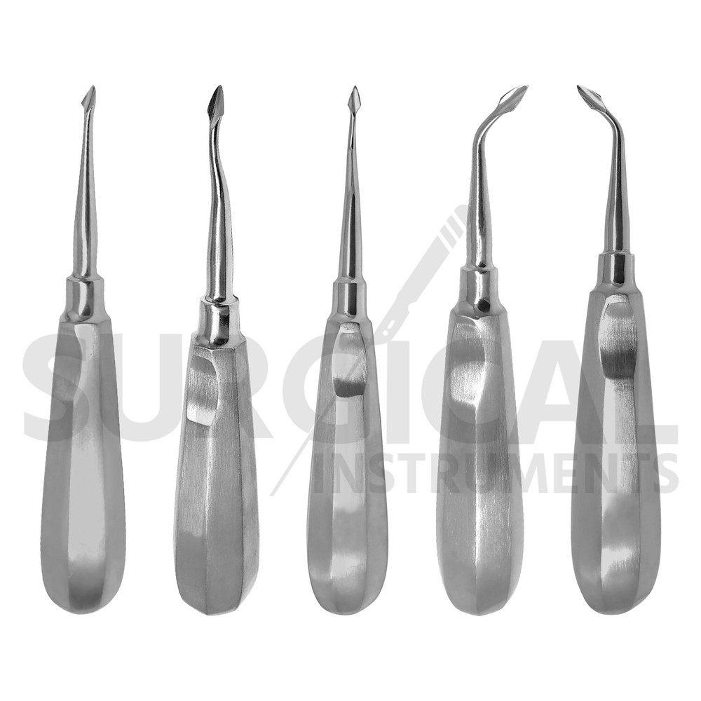 5 Pcs Bayonet Elevators Set Dental Extraction Instruments Stainless German Grade