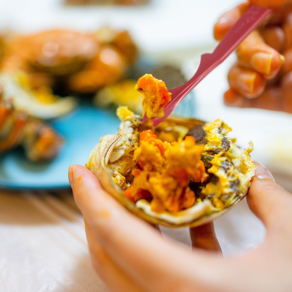 40Pcs Crusher Forks/Bits Crusher Wholesale (Red)