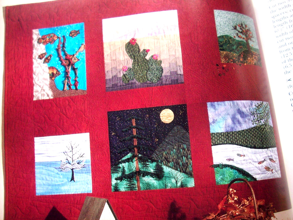 SINGER Embellished Quilted Projects quilting pattern bk