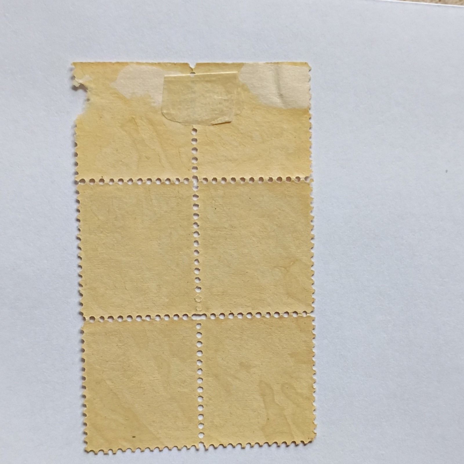 #256 6¢ Plate Block of 4 Mint Hinged Red Stamps with Top Margin