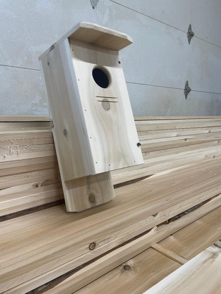 Red bellied woodpecker nest box (white cedar)