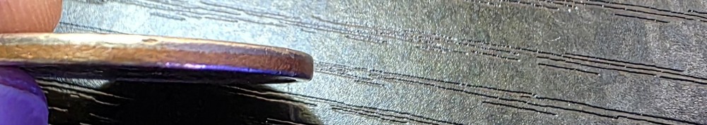 ​2010 Native American Dollar - MISSING EDGE LETTERING Error