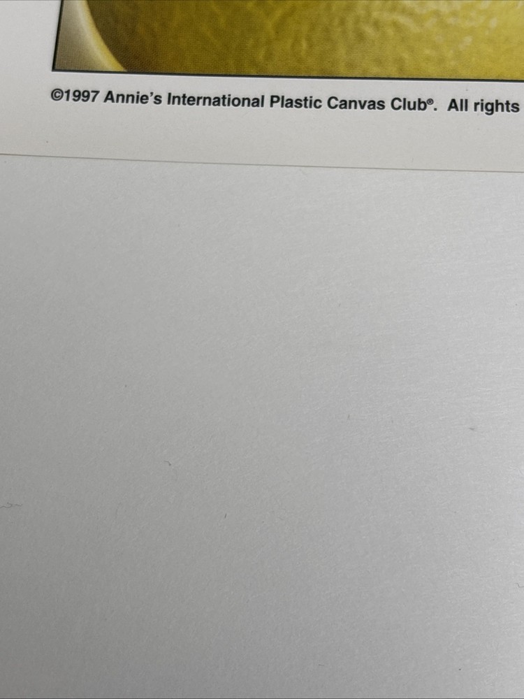 Spring Bouquet Wall Vase Annie's Attic Plastic Canvas Pattern Page