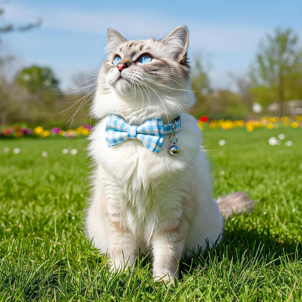 2pc Bow Tie Cat Collar with Bell Breakaway Blue Plaid & Solid Kitten Boy Set