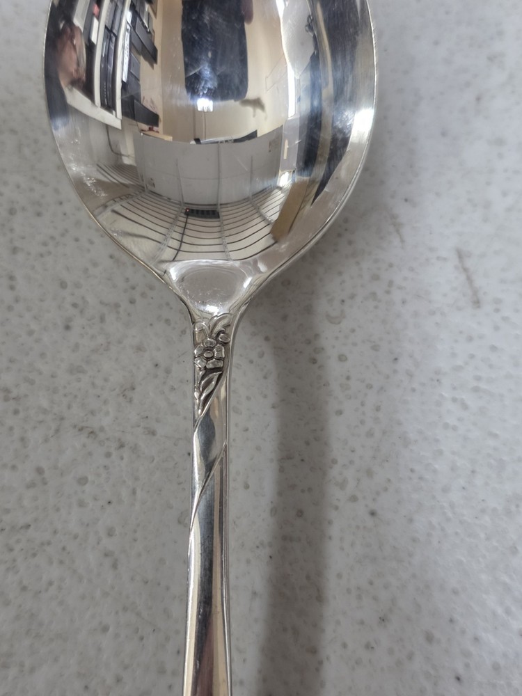 Oneida Community Evening Star Silver Plated 7" Soup Spoon