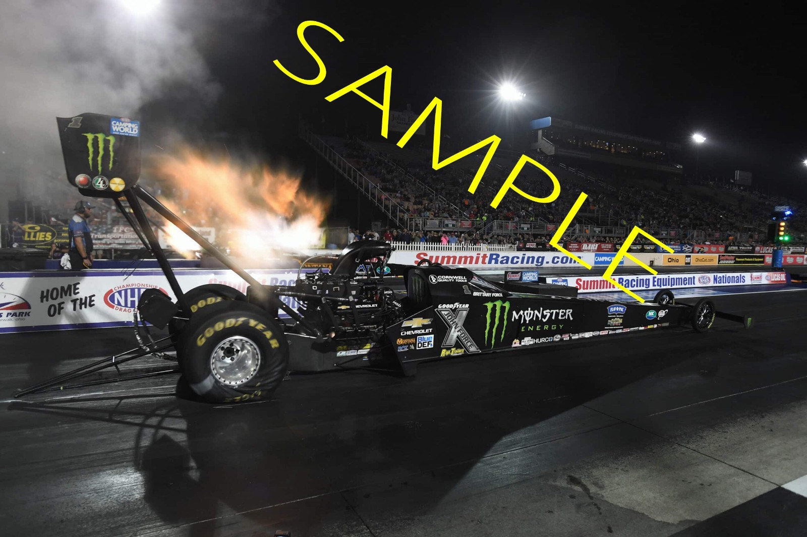 BRITTANY FORCE MONSTER ENERGY TOP FUEL CAR 13X19 GLOSSY POSTER #W45