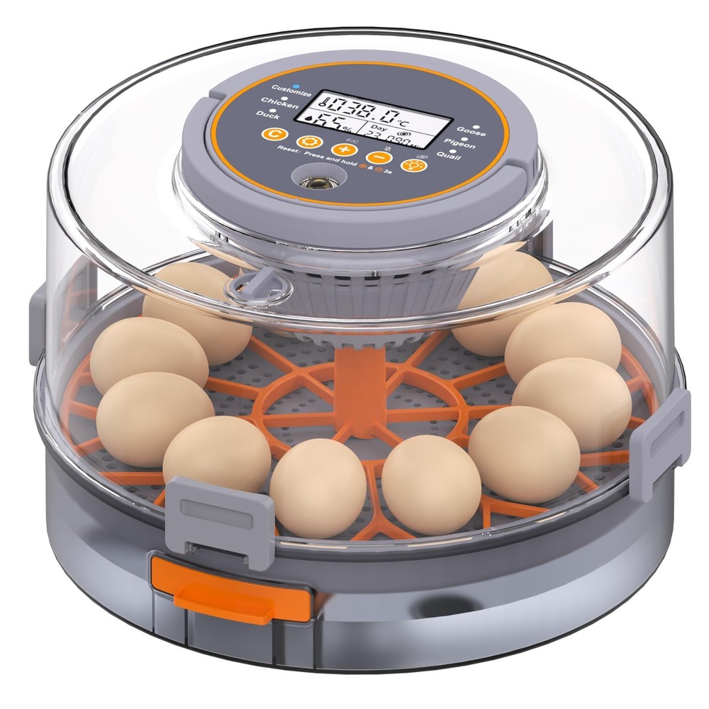 Automatic Egg Incubator with Humidity Control & Temp Adjustment, 12 Eggs Capacit