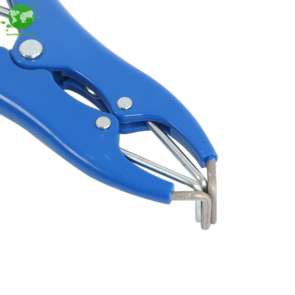 Bander Docking Elastrator Castration Applicator Sheep ＋100 Pcs Marking Ring