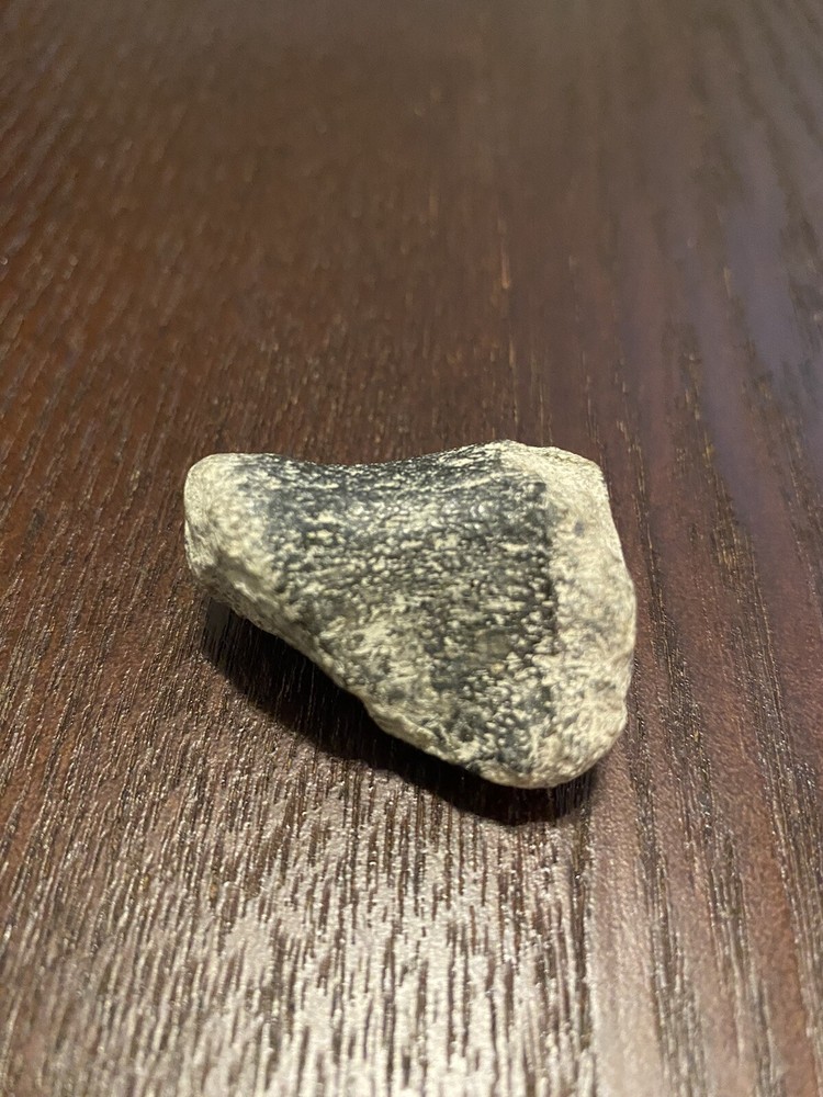 Ancient Fossil, Bone, Unusual, Age Unknown, Very Old, REAL!