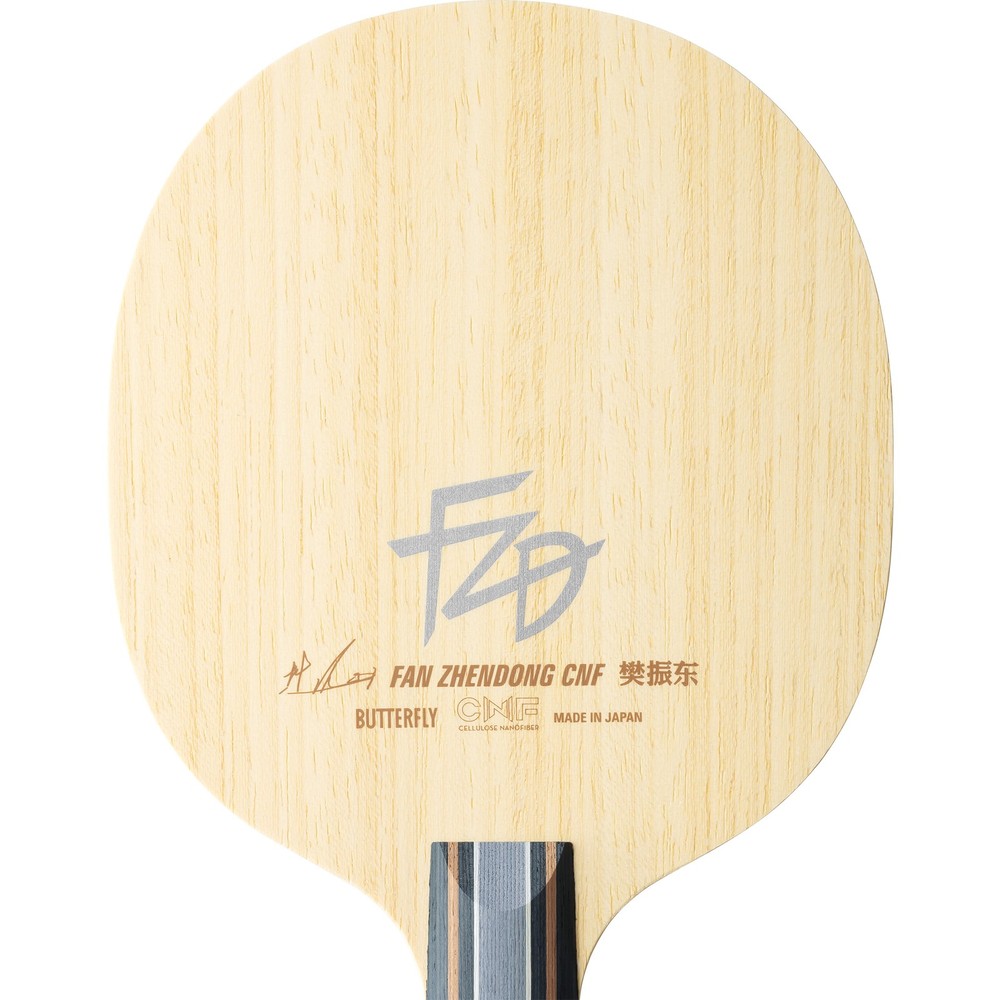 Fan Zhendong CNF CS