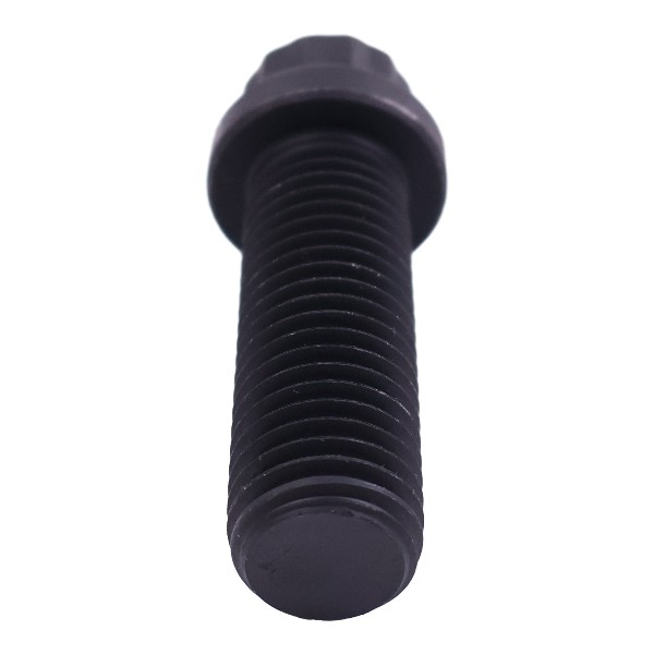 205584 Twelve-Point Cap Screw