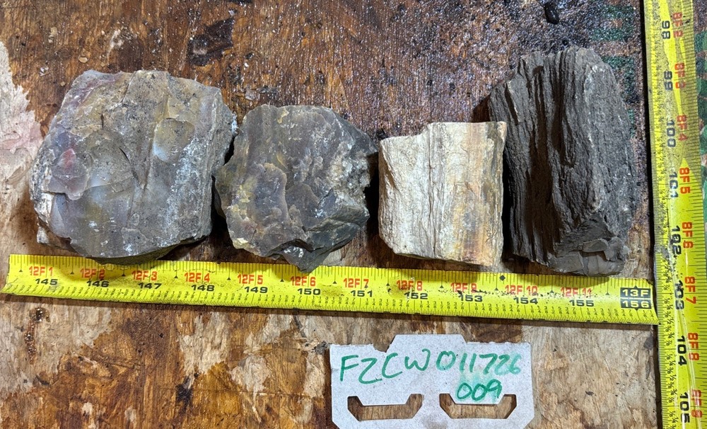 Colorful Petrified Wood 3 Pound Lot