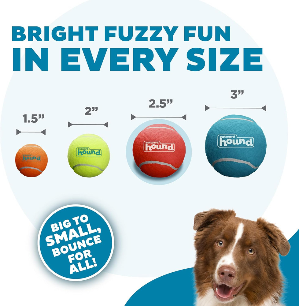 Squeaker Ballz Fetch Dog Toy, Medium - 4 Pack
