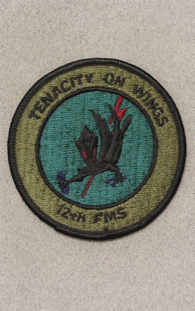 USAF Air Force Patch 4289: 12th Field Maintenance Sqdn - subdued