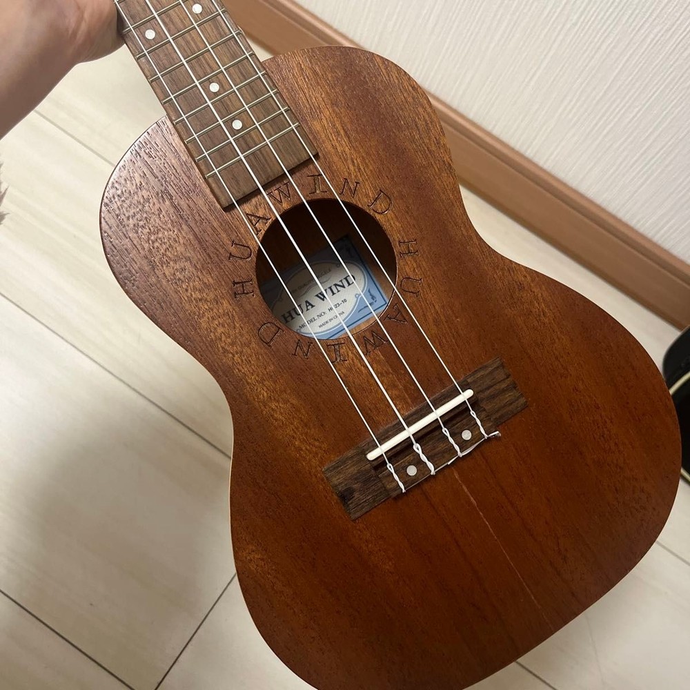 HUA WIND ukulele with case