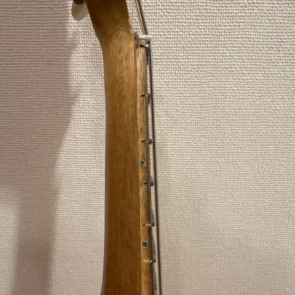 Basiko (flat mandolin) case