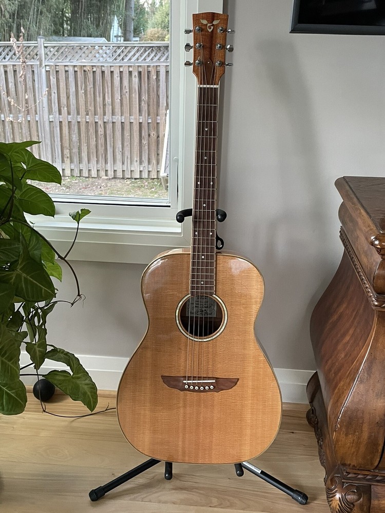 Gorgeous 1997 Goodall guitar
