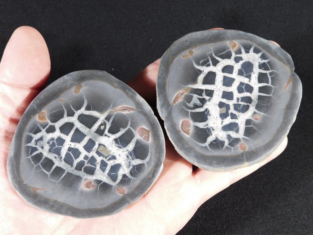 Neat! Lighting Like Pattern! Split and Polished SEPTARIAN Nodule Morocco 368gr