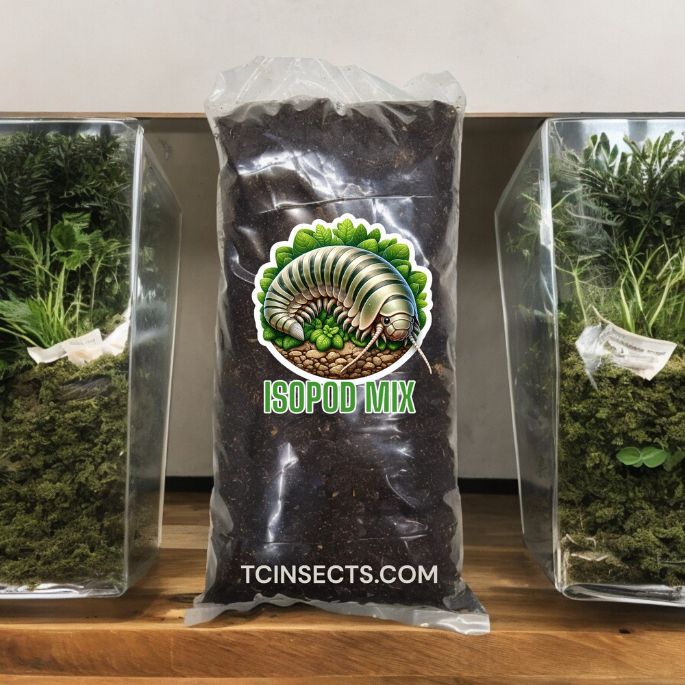 Premium Isopod Substrate Mix | Bioactive | Limestone Calcium Infused | 4 Quart