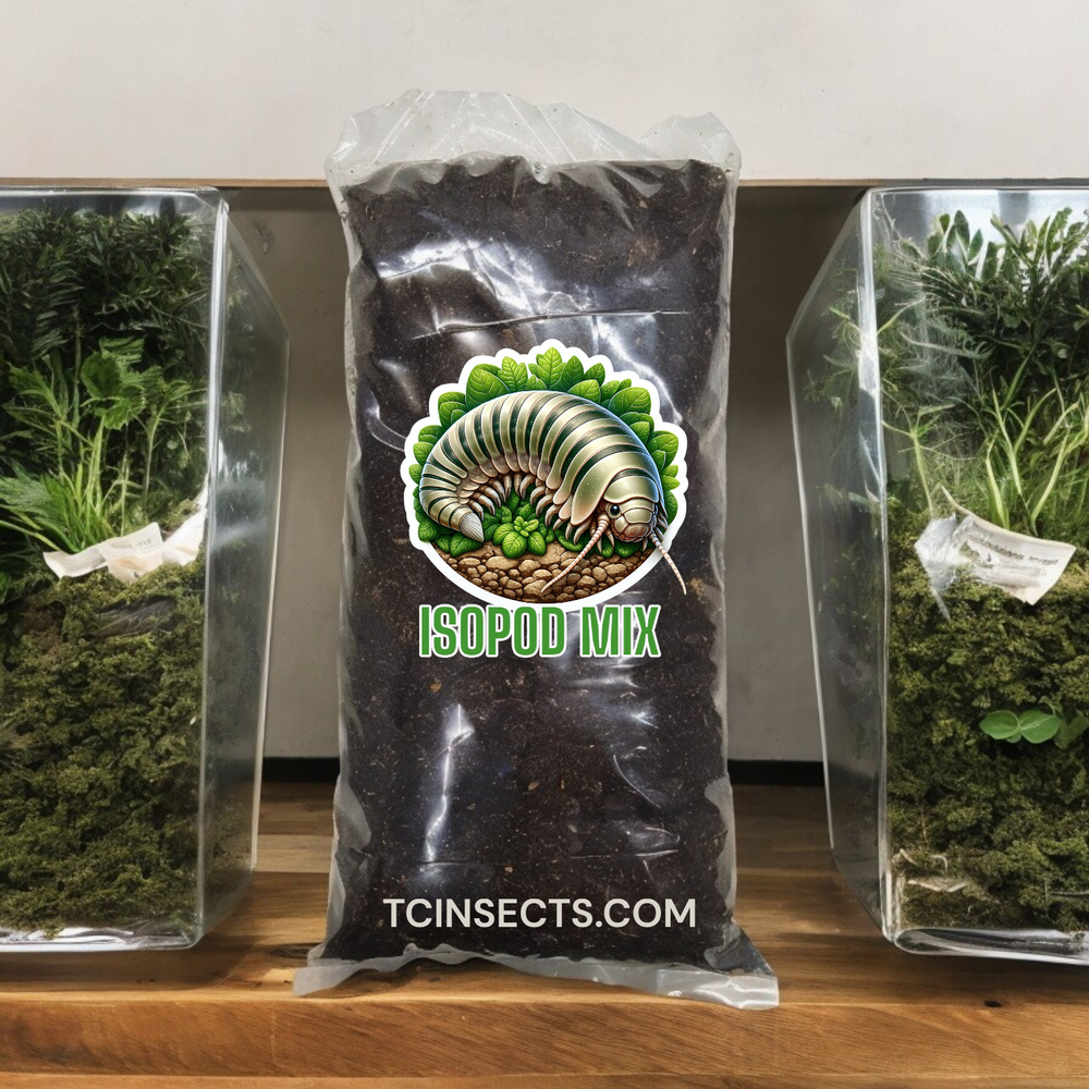 Premium Isopod Substrate Mix | Bioactive | Limestone Calcium Infused | 4 Quart