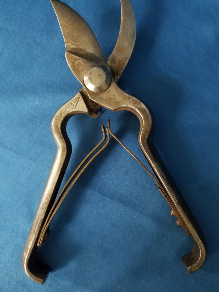 Antique Stiletto Pruning Shears