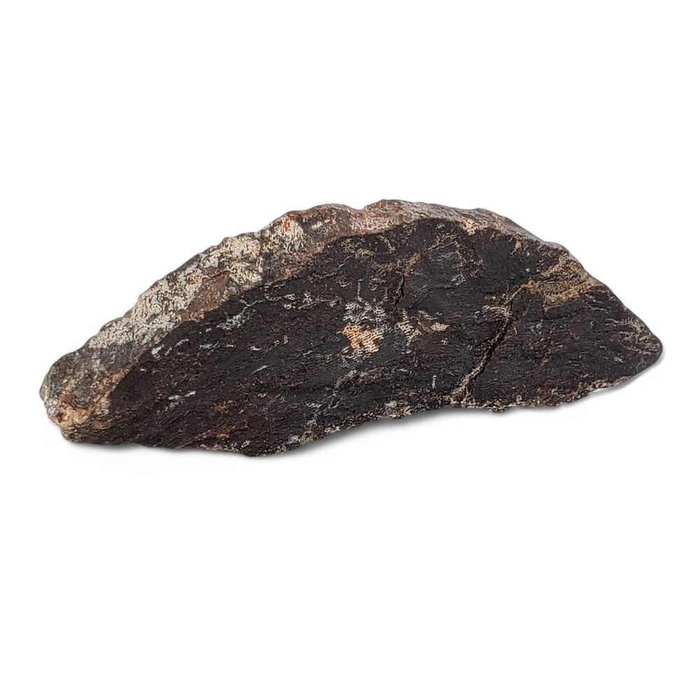 Authentic Jurassic Dinosaur Bone Fossil - Morrison Formation, Colorado