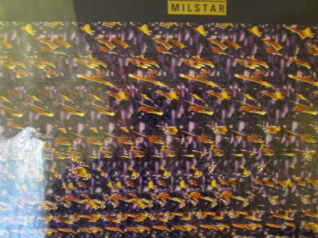 MILISTARE POSTER