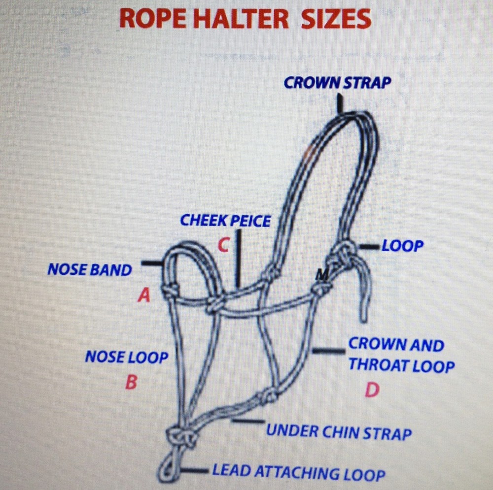 HORSE ROPE HALTERS WITH PADDED SOFT NOSE BIT