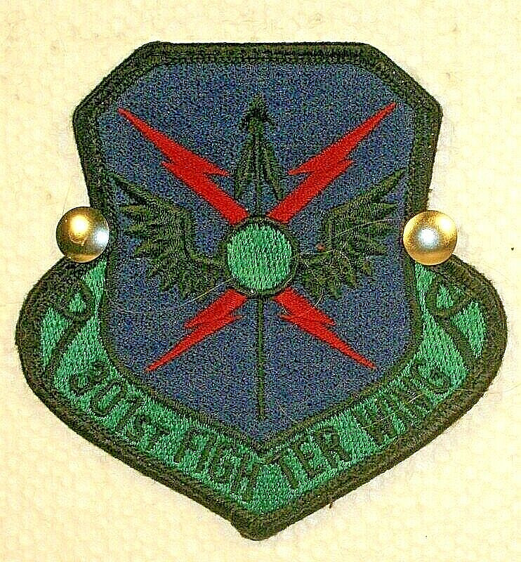 USAF Air Force 301st Fighter Wing Subdued Crest Insignia Badge Patch