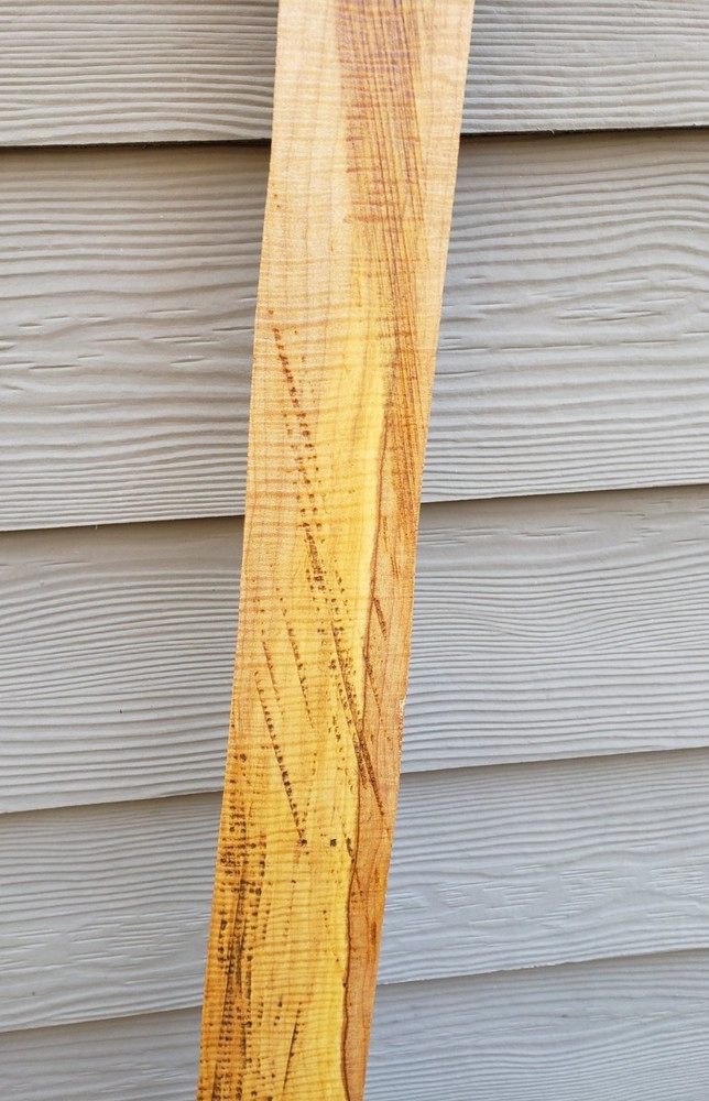 🔥 70.25" CURLY FIDDLEBACK TIGER MAPLE MUZZLELOADER RIFLE LONGRIFLE Blank Slab