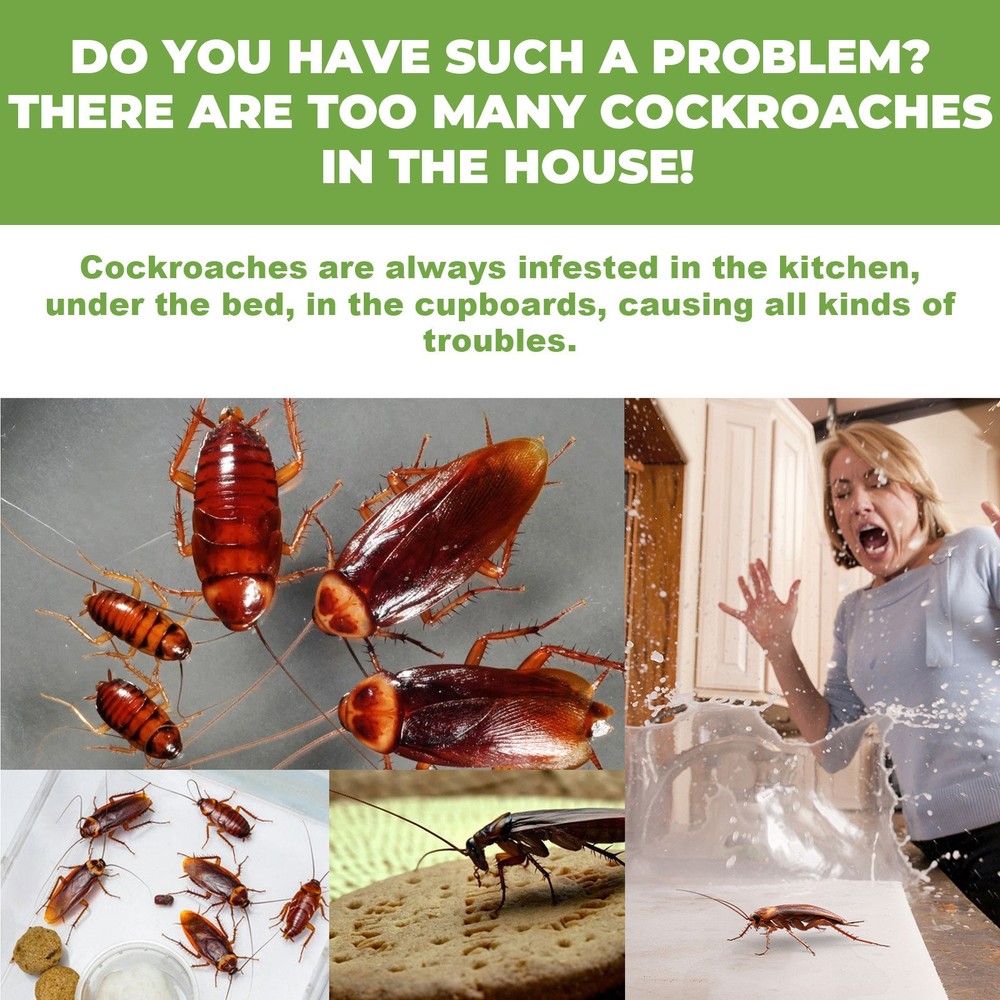 Powerful Roach Repellent, Domestic Dormitory Kitchen Cockroach Bait Roach Killer