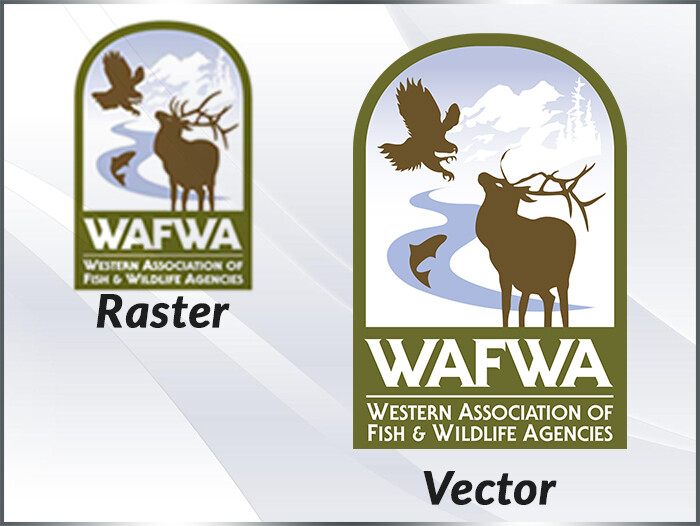 Logo vector | Vector logo | Logo redo | Custom Logo Design