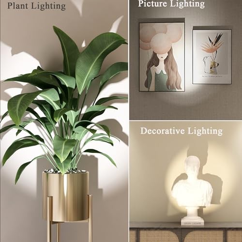 LED Spot Lights Indoor with Timer and Remote Stepless Adjustable Color