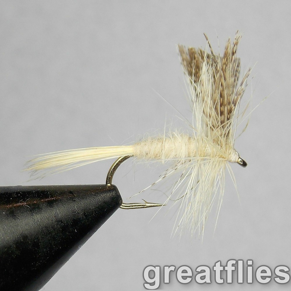 1 dozen (12) - Light Cahill