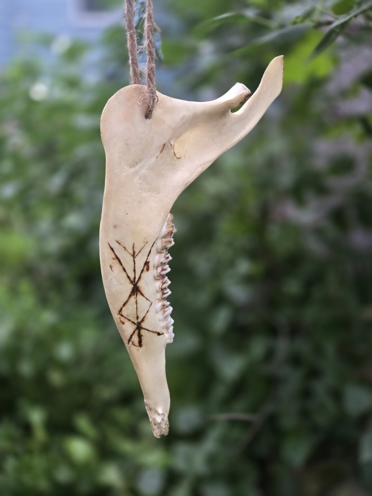 Deer Jaw Wall Hanger