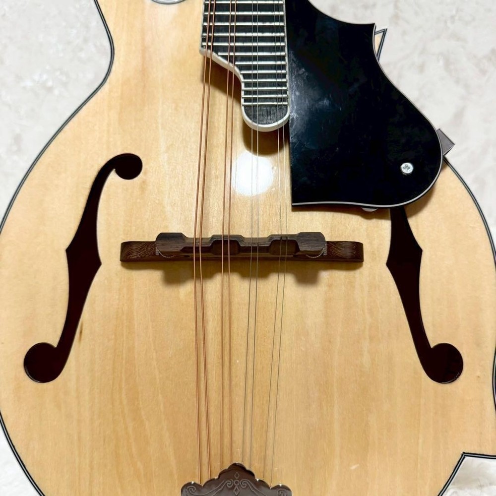 [Rare item] MYLOWE flat mandolin with hard case