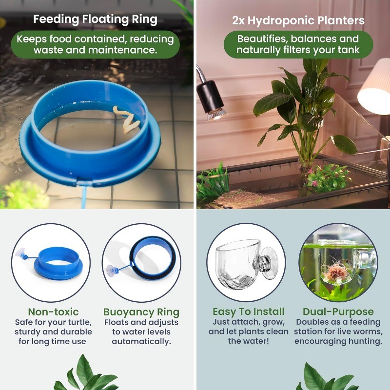 Large Turtle Tank Kit for Aquatic Turtles Complete Starter Habitat with Filter