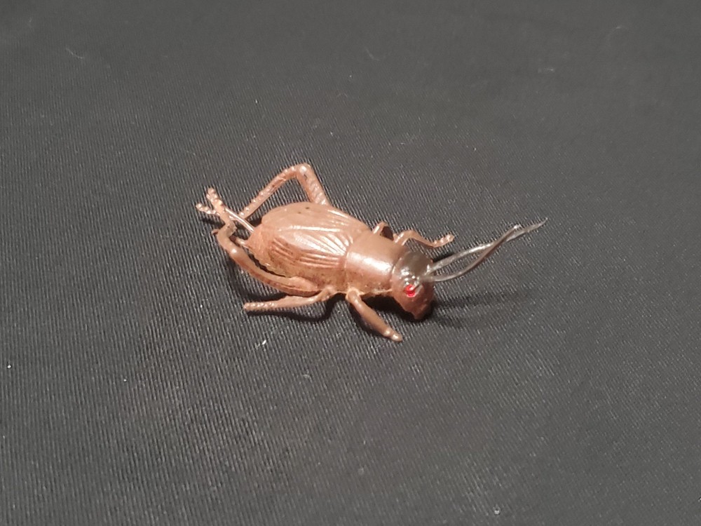 True Cricket Insect .75" Educational Toy Figure