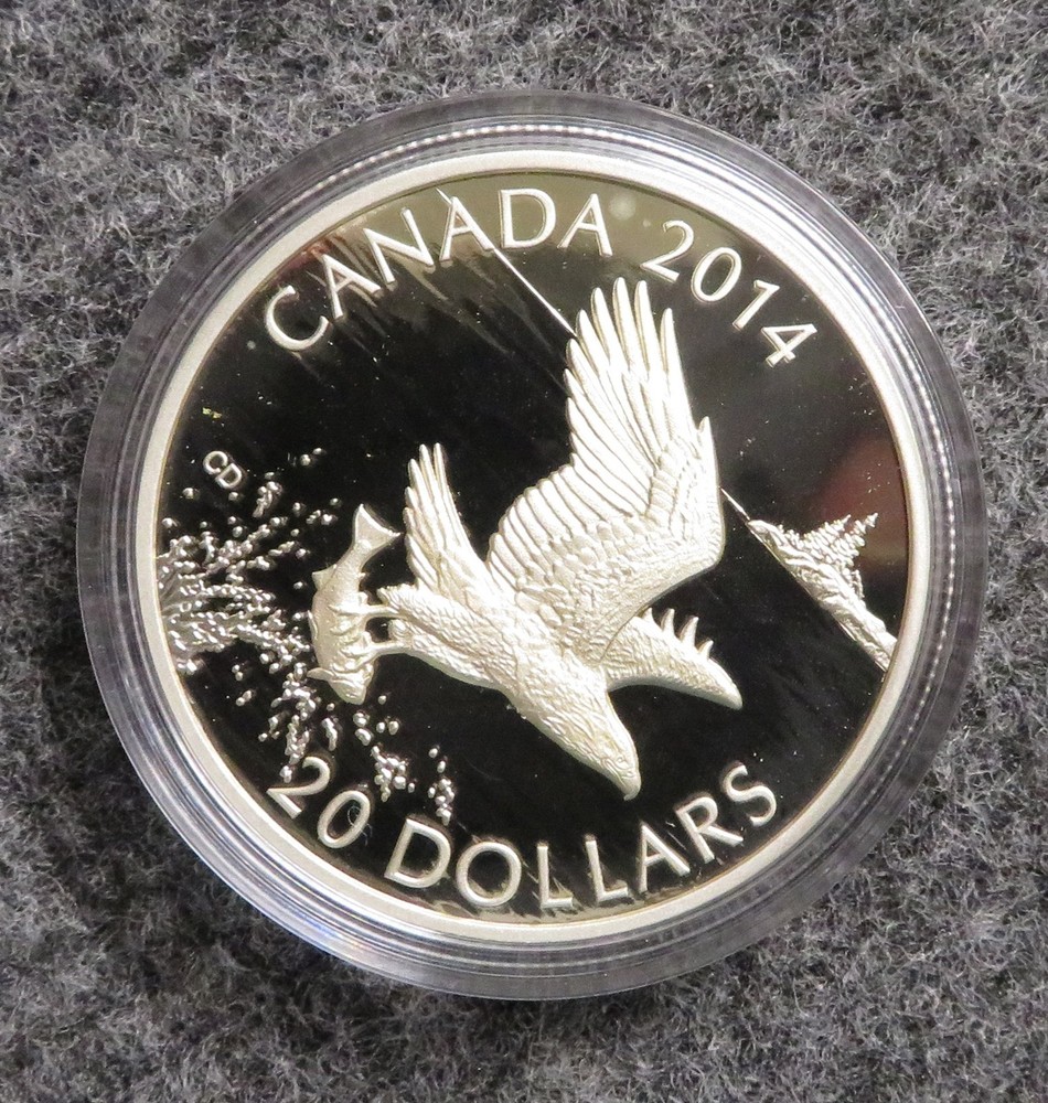 2014 Canada $20 Silver Proof Coin - Bald Eagle Catching Fish