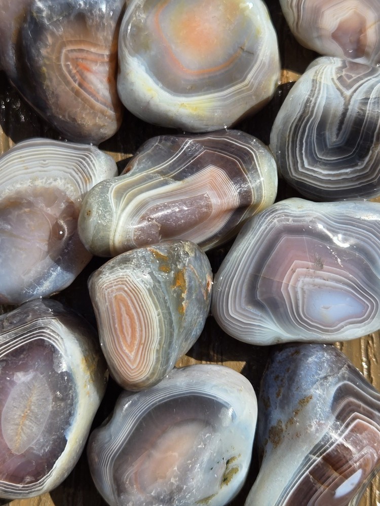 Botswana Agate Selects - SUPERNOVA - Rough, Natural, Not Polished A+ Grade