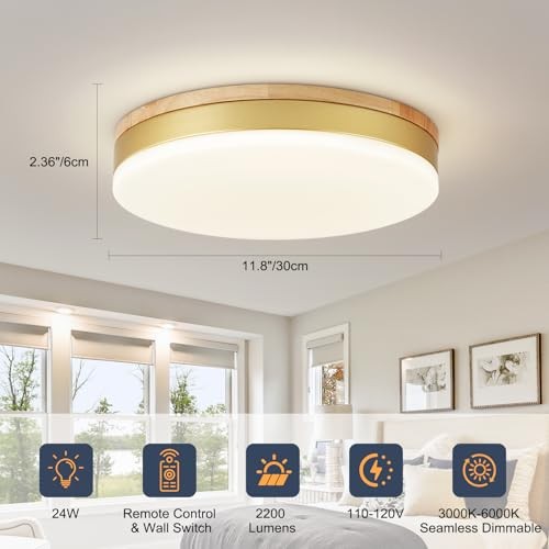Modern Dimmable Ceiling Light with Remote, 11.8in Flush Mount Ceiling Gold