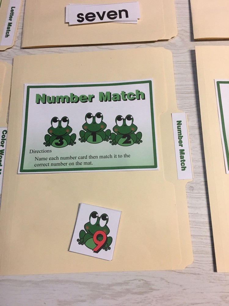 10 File Folder Set - Teaching READING MATH -Froggy Kit