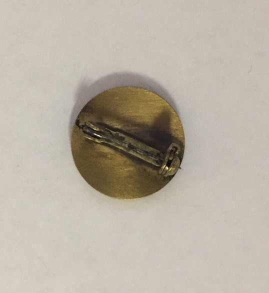 Sunday School Award Pin