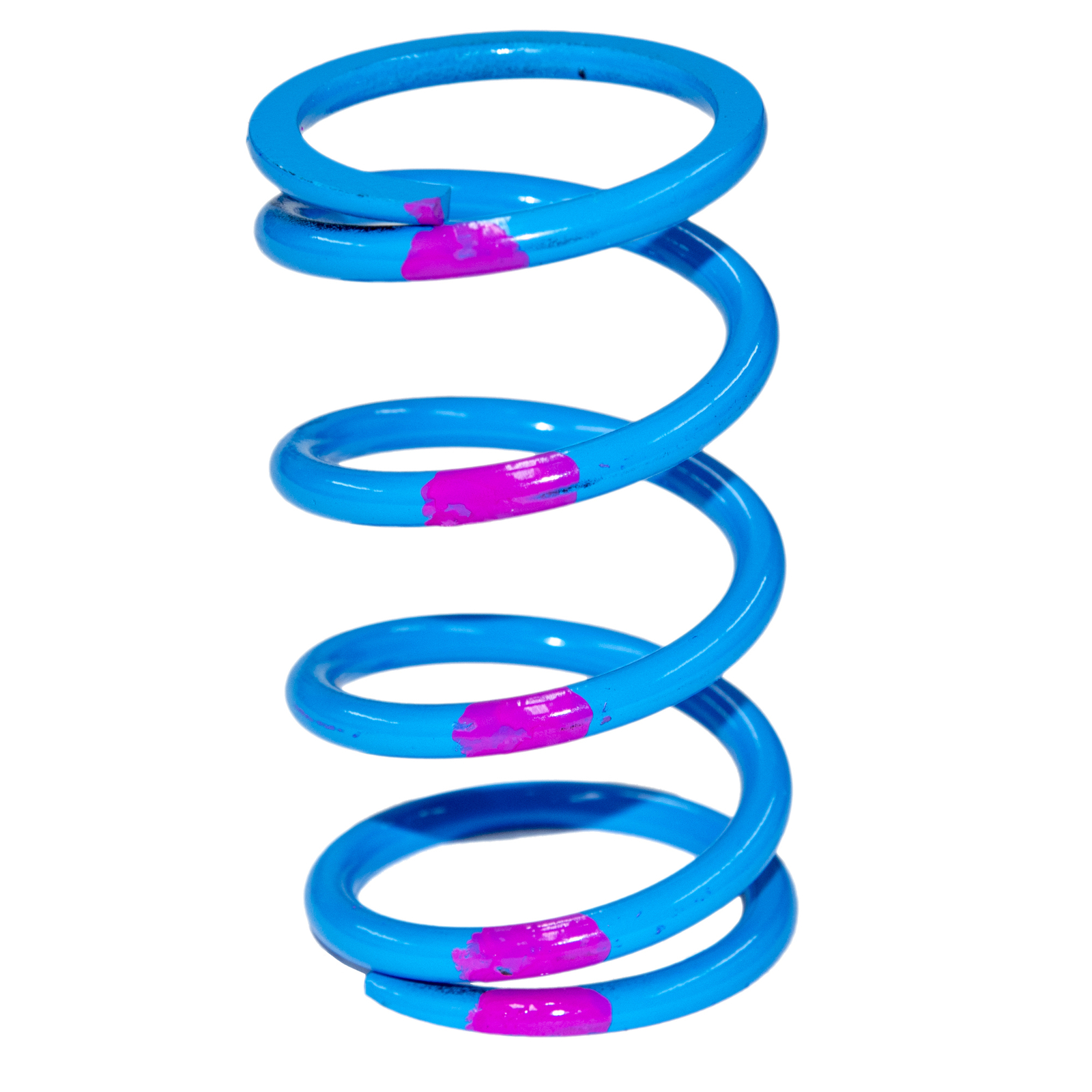 SLP High Performance Drive Clutch Spring - Blue / Pink - 40-76